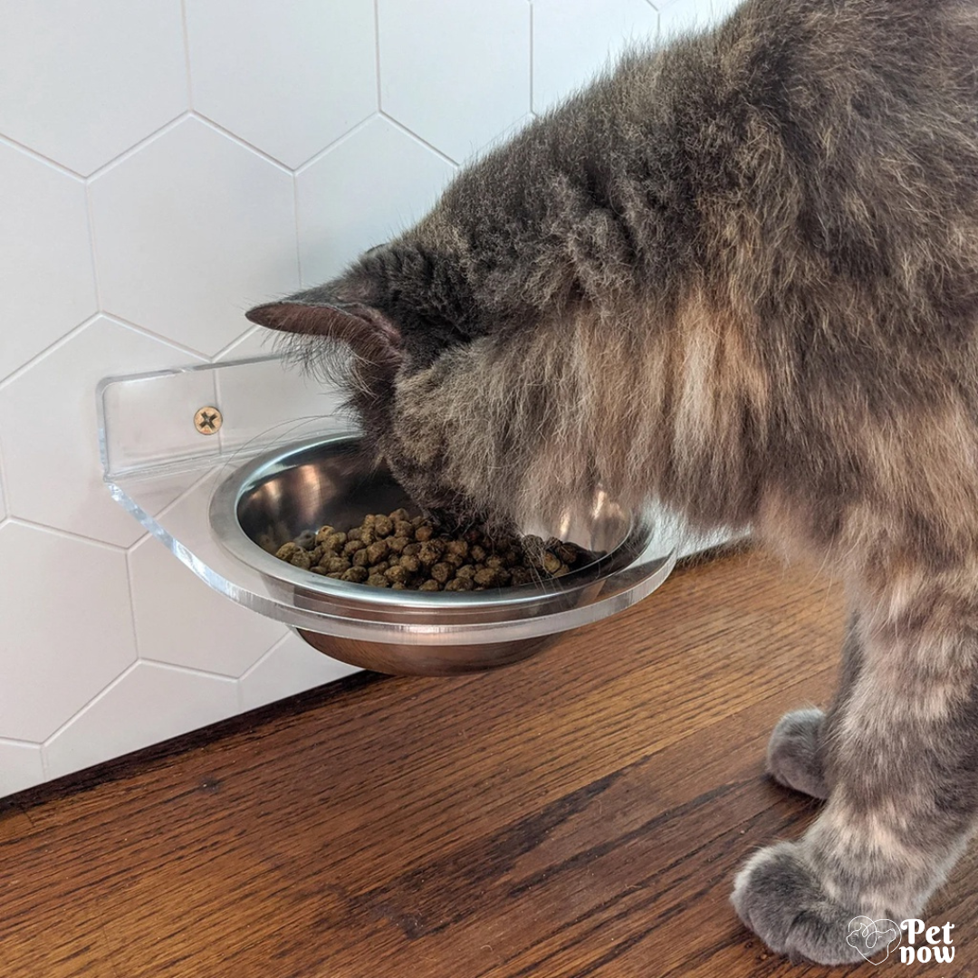 Comedouro e Bebedouro com Tigela Inox para Cães e Gato Suspenso