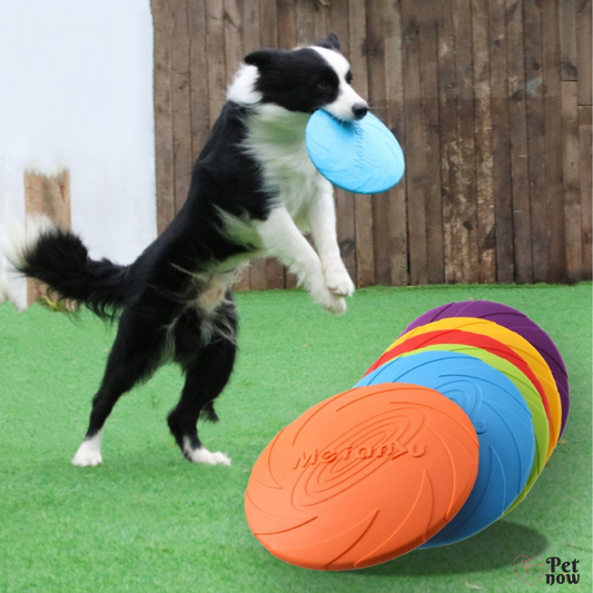 Disco Frisbee Multifunção