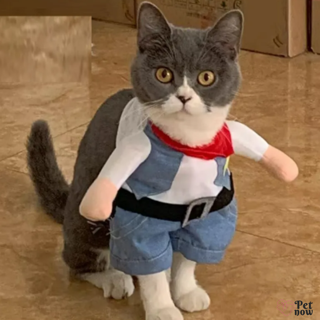 Fantasia de Xerife do Faroeste para Cães e Gatos - Cowboy de Quatro Patas