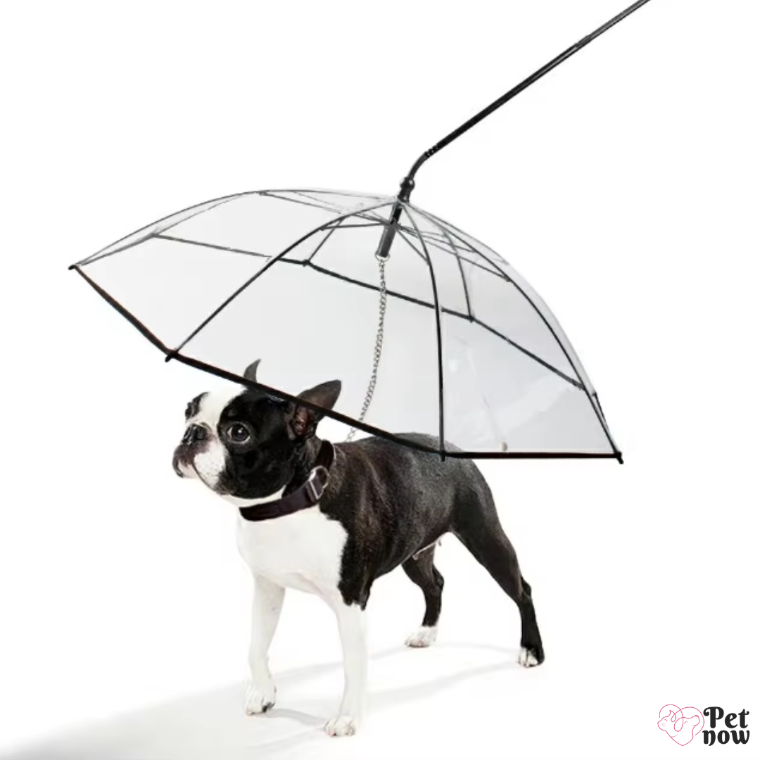 Guarda-Chuva Impermeável para Cães - Coleira de Proteção para Dias de Chuva ATUBAN