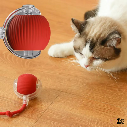 Bolinha De Rolamento Automática Com Cauda Falsa Para Gatos