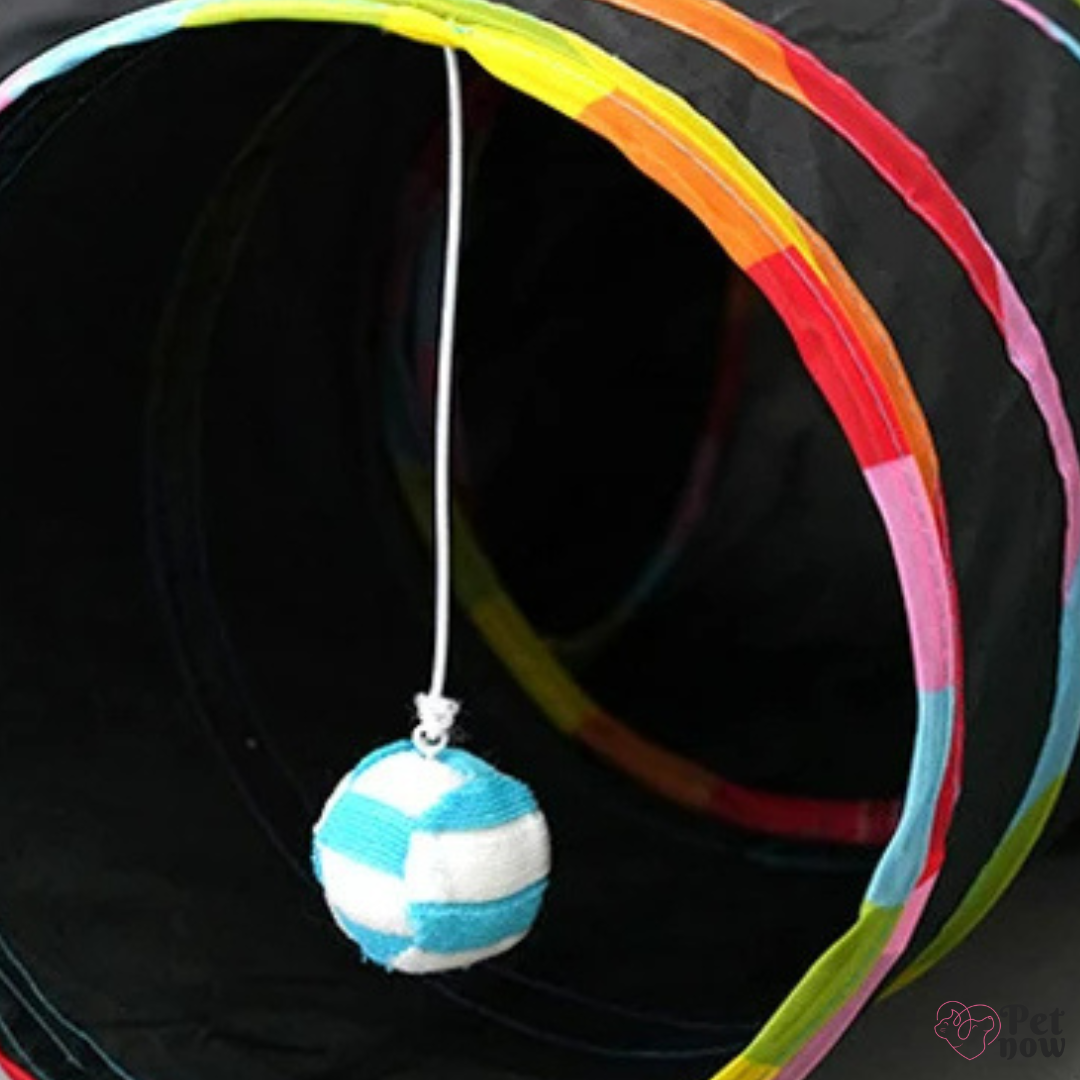 Túnel Portátil com Barraca para Gatos