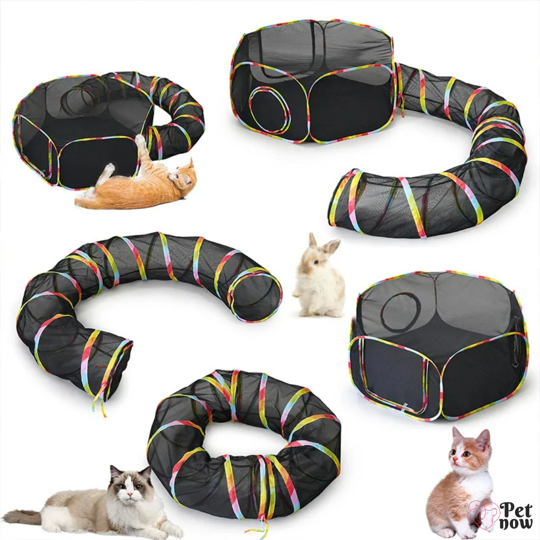 Túnel Portátil com Barraca para Gatos