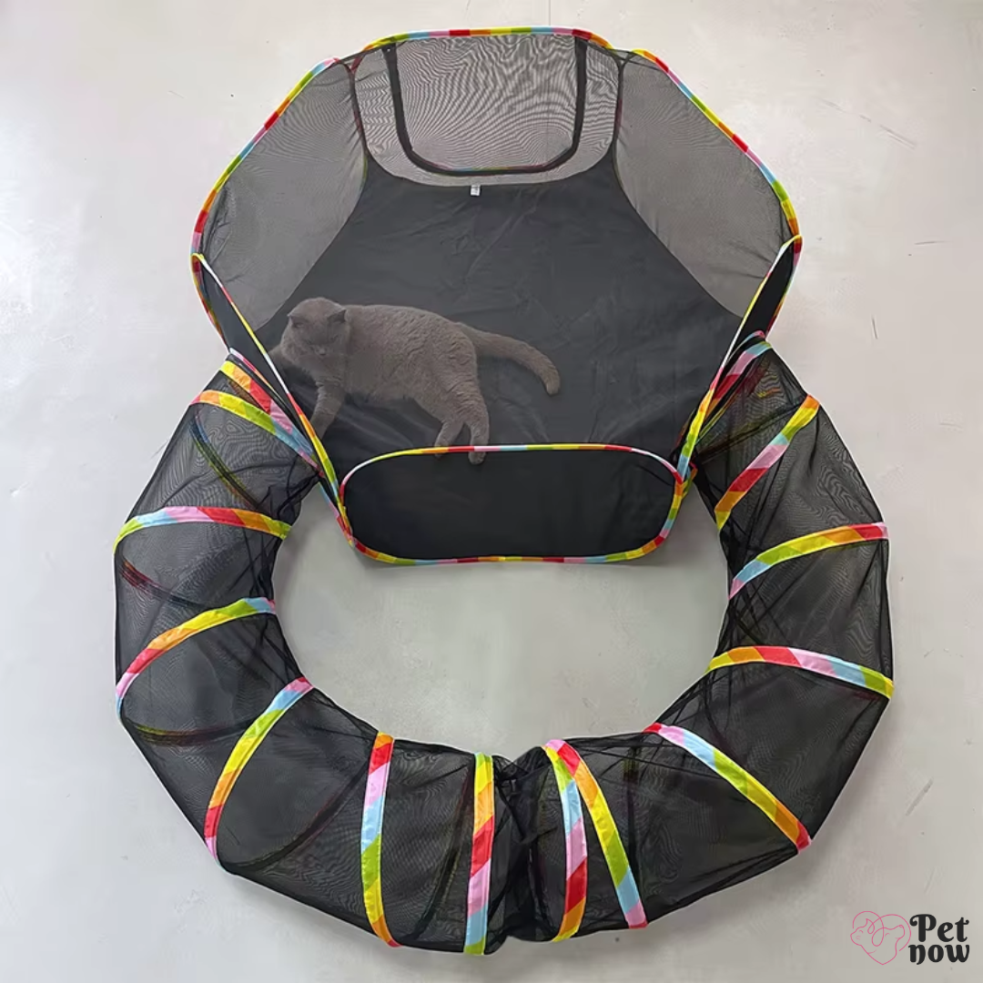 Túnel Portátil com Barraca para Gatos