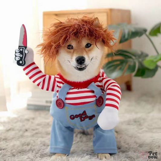 Fantasia de Chucky para Cães e Gatos