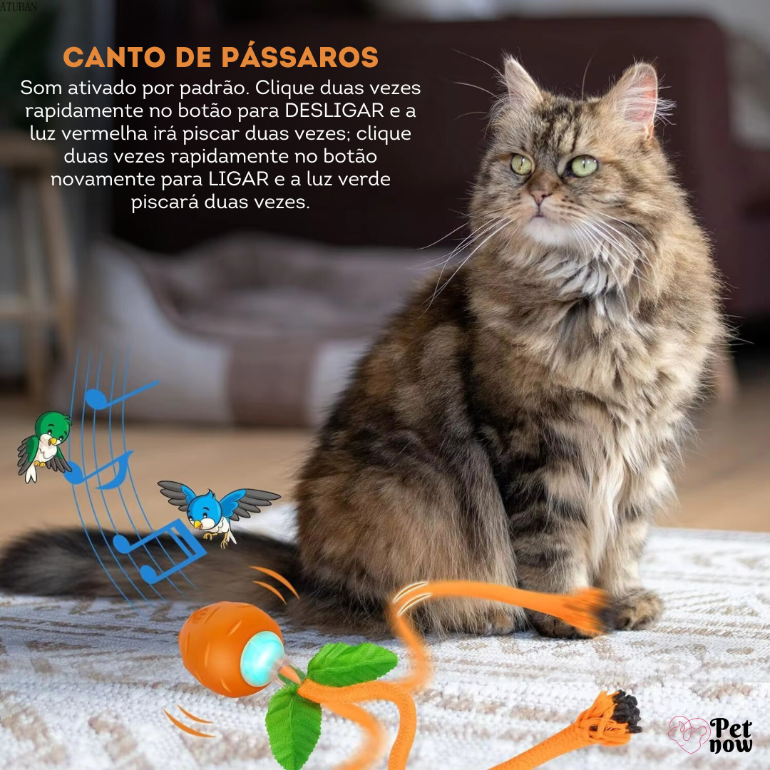 Cenoura Mágica Brinquedo Inteligente Para Gatos Led