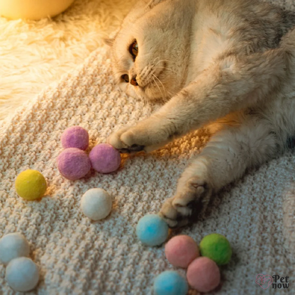 Lançador de Bolas Silencioso para Gatos