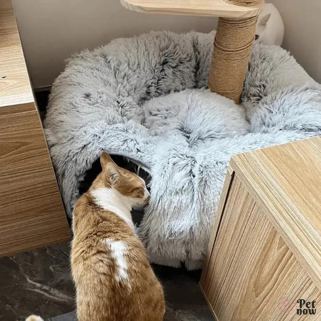 Cama de Pelúcia com Túnel para Gatos