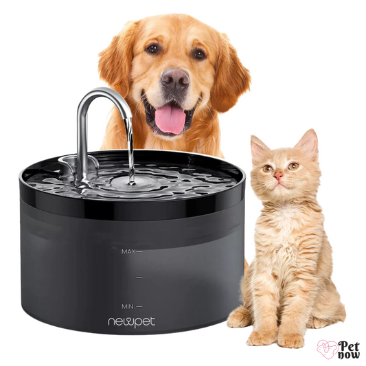 Bebedouro Automático com Filtragem Newpet USB Silencioso para Pets